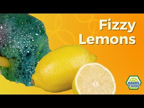 FiZZy Lemons 🍋 | experiment | chemical reaction