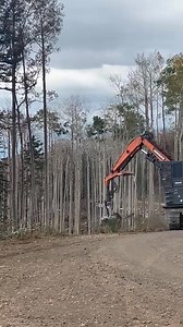 12K views · 87 reactions | #monroecanyonfire there are numerous kinds of equipment working on the Monroe Canyon Fire. This video shows a logging processor stripping limbs from a tree. These heavy duty machines can perform tasks faster and more safely than manual hand crews. #FireYear2025 | Utah Fire Info | Facebook