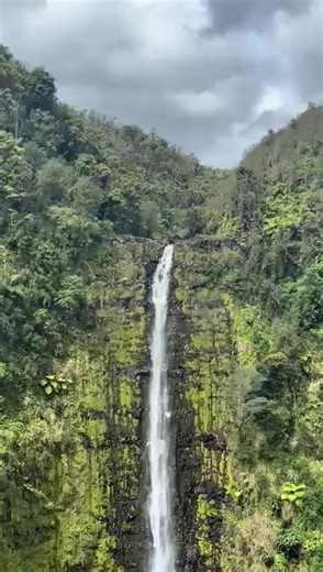Explore Akaka Falls: Hawaii's Tallest Waterfall