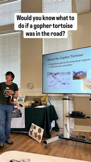 🐢 What should you do if you see a gopher tortoise on the road? Our Coffee & Conservation crew got hands-on answers from expert Carol McCoy and the tips might surprise you. ✅ How to help a tortoise cross safely ✅ What to do if it flips on its back ✅ Why these burrow builders are crucial for Florida’s ecosystem We hosted nearly 50 guests this month to learn, connect, and take action. 🌱 Conservation starts with small steps and shared knowledge. 📍Join us next month as we continue to spotlight the