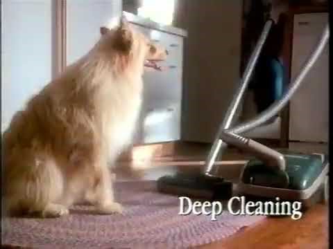 Hoover Cleaning Day :15