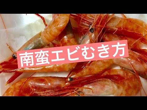 【お刺身】南蛮エビ（甘エビ）のむき方解説！