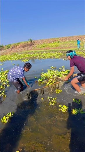 Primitive Net Fishing in the Deep Jungle River
