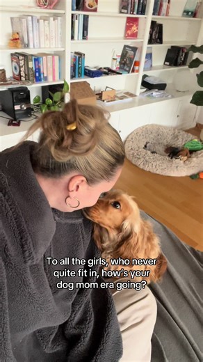 Embracing the Dog Mom Era with Cocker Spaniels