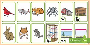 Pets and Their Homes: Matching Pairs Cards