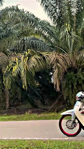 Modena Skriss: Explore the Latest Trends