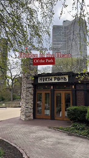 751 reactions · 73 shares | ️ A destination for those who savor the moment. North Pond blends refined dining with the natural beauty of Lincoln Park, offering a menu as thoughtful as its surroundings.  #chicagorestaurants #eats #chicago #summertimechi #finedining | North Pond | Facebook