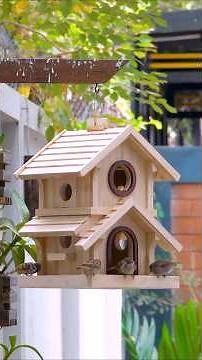 CREATE Your Own COZY Bird House and Feeder with These AMAZING Design Ideas