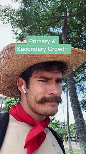 Understanding Primary and Secondary Growth in Plants