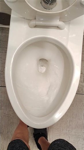 2020s American Standard Afwall Toilet At Macy's!