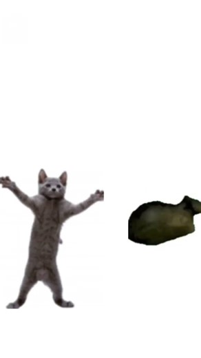 ⓍⒹ