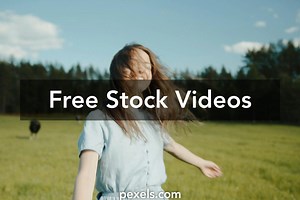 Cow Farm Videos, Download The BEST Free 4k Stock Video Footage & Cow Farm HD Video Clips