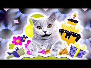 🐱🎶 Cool Cat Sings Happy Birthday to a Dear Friend! 🎂🎉