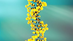 Dna 遺伝学 クローン - Free video on Pixabay