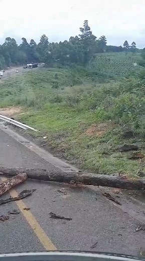 93K views · 452 reactions | UPDATE: The R40 near Da Gama Bridge has...