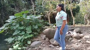 78K views · 780 reactions | LAS TEPAS O TEPAL Viven en los zapotales...