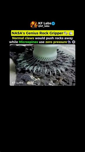 Why NASA Can’t Use Normal Claws 🛰️🪨