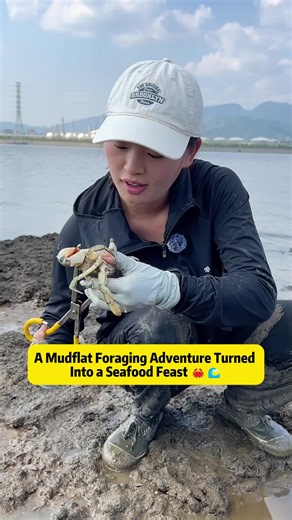 Mudflat Foraging Adventure: From Ocean Creatures to a Feast 🦀