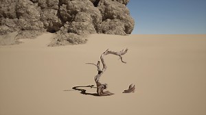 A dead tree in the middle of a desert