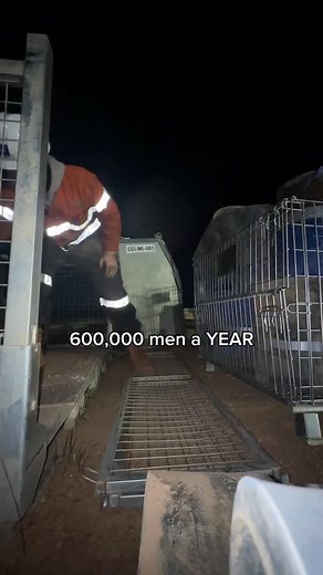 Check on your mates | Solo Toa