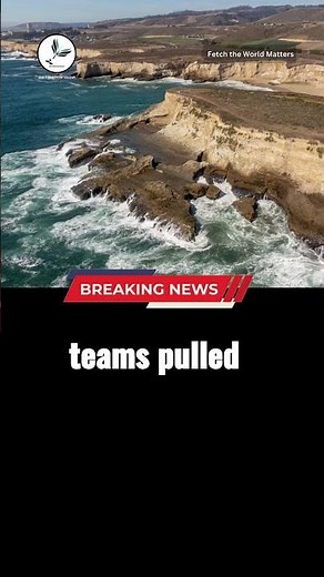 Two Indian-origin friends die after wave hits California beach