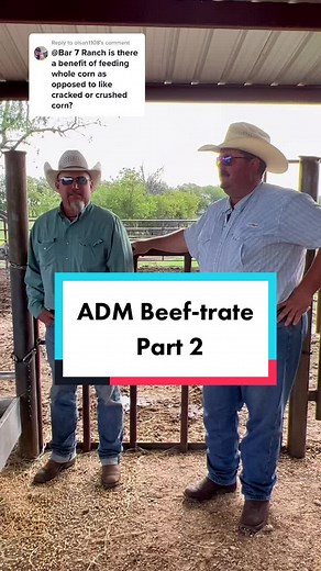 Why ADM Beef‑trate Uses Whole Corn Instead of Cracked Corn