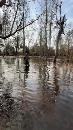 The Fowl Life on Instagram: "Let the mallard festivities begin!"
