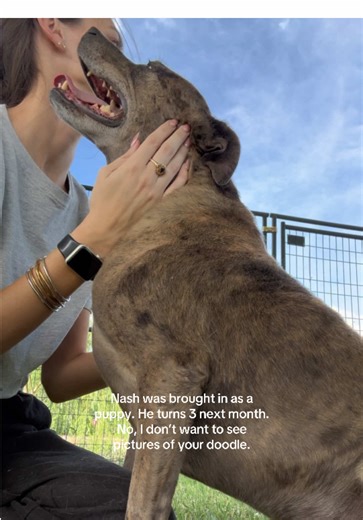 Sweetest boy ever. Good with dogs & loves kids 🥺💔 Determined to get him out of here !!!! Nash is at Leflore County Humane Society in Greenwood, MS! #adoptdontshop #adoptme #humanesociety #mississippi #dogsoftiktok