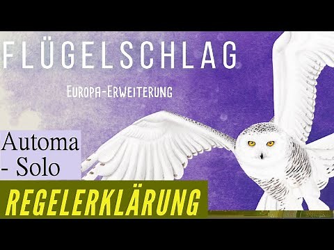Flügelschlag - Europa Erweiterung - Regeln - Aufbau - Erklärung inkl. Automa