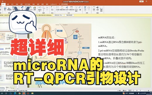 【引物设计02】手把手教你microRNA的RT-QPCR引物设计视频！