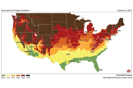 Fall foliage map shows best states for changing leaves