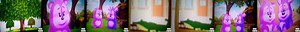 Bim and Bam In the Animal World _ Crocodile(360P).mp4