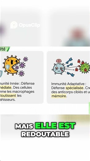 Immunité Humaine Comment le Corps se Défend Explication