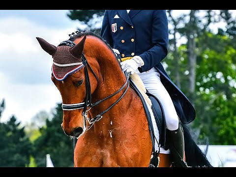 Kings & Queens ~Dressage music video~