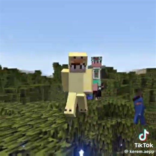 2 Nedirat Tank #ytdayibenionecikarnolur #minecraft