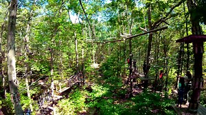 Make your way through challenging ropes courses and exhilarating zip lines on our aerial forest adventures the whole family will enjoy! | The Adventure Park at The Discovery Museum | Facebook
