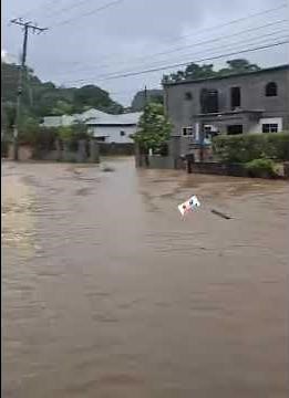 Clarendon Jamaica 🇯🇲