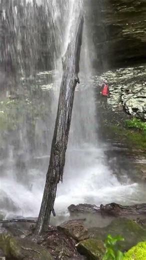 Hector Arkansas, Ozark National Forest . Ozark Mountains Arkansas .