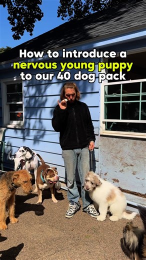 26K views · 224 reactions | Meet Moose  Today we introduced this...