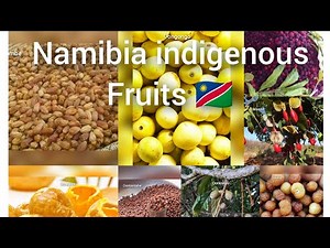 🇳🇦 Namibia most top 20 indigenous fruits. Top 20 fruits found in Namibia 🇳🇦