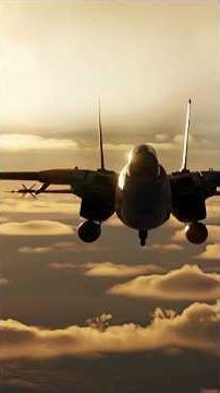 F-14 B(U) I'm the upgrade #DCS