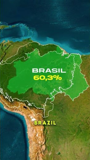 The Brazil Amazon Rainforest isn’t only in Brazil. #geography #brazilamazon #mapanimation #map
