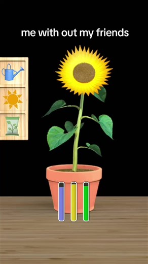 Gaiana belle (@gaiana.belle)’s videos with original sound - random_stuff