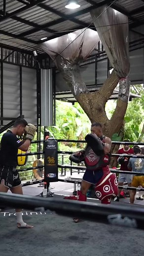 Balance of speed and power