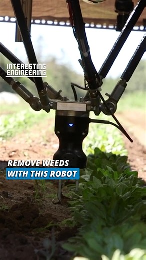 The robot notices the weed autonomously with the vision system and uses its arm to remove weeds from soil. | Interesting Engineering