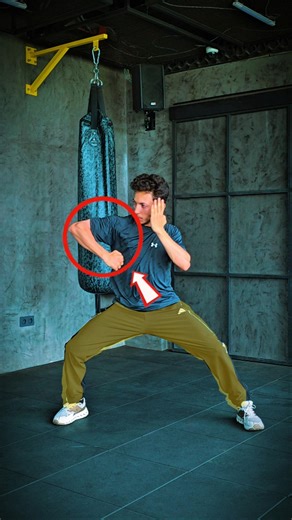 pencak Silat fighting technique