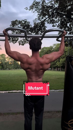 Build a Stronger Back with Calisthenics