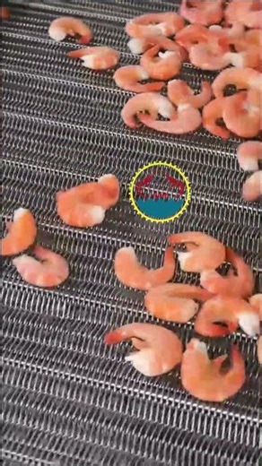 shrimp machine, cooked shrimp, shrimp processing, prawn processing, prawn machine, prawn