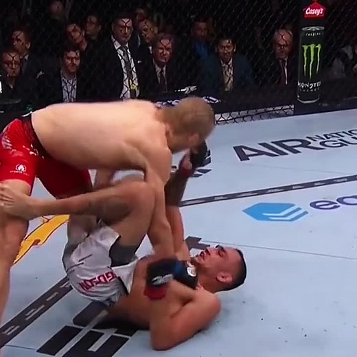 MMA Fight Highlights in the UFC Octagon