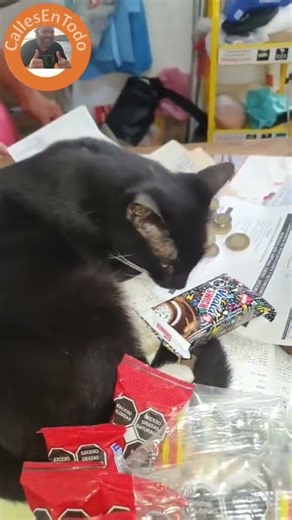 el señor gato no me vende